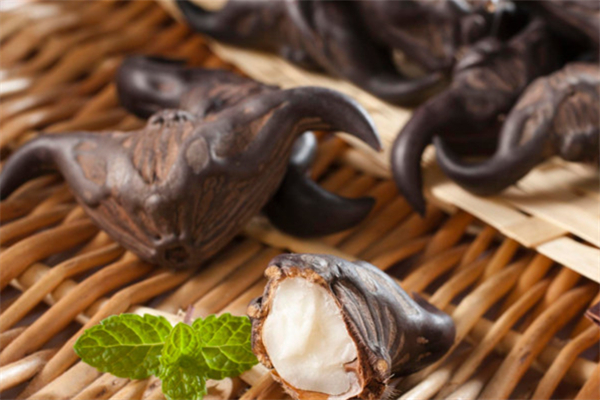 菱角吃多了胃不舒服怎么辦 菱角吃多了會脹氣嗎 菱角吃多了胃不舒服怎么辦 菱角吃多了會脹氣嗎