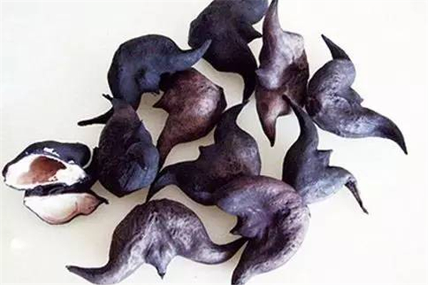 菱角吃多了胃不舒服怎么辦 菱角吃多了會脹氣嗎 菱角吃多了胃不舒服怎么辦 菱角吃多了會脹氣嗎