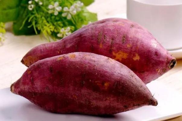 吃紅薯長胎是真的嗎 為什么說吃紅薯長胎 吃紅薯長胎是真的嗎 為什么說吃紅薯長胎