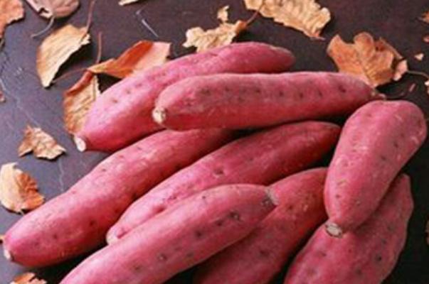 吃紅薯有助于排便嗎 生的紅薯排便效果會(huì)更好 吃紅薯有助于排便嗎 生的紅薯排便效果會(huì)更好