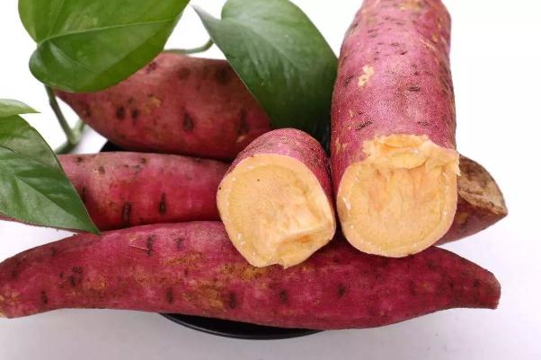 吃紅薯長胎是真的嗎 為什么說吃紅薯長胎 吃紅薯長胎是真的嗎 為什么說吃紅薯長胎