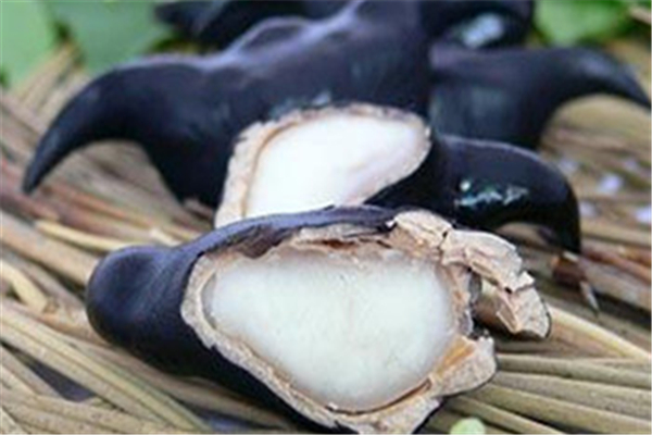 菱角可以和豬肉一起吃嗎 菱角可以和豬骨一起煮湯嗎 菱角可以和豬肉一起吃嗎 菱角可以和豬骨一起煮湯嗎