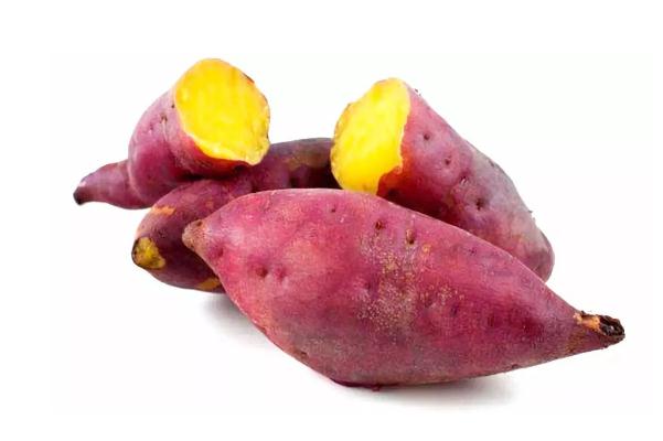 紅薯的營養(yǎng)價值及功效與作用 紅薯直接放水里煮嗎 紅薯的營養(yǎng)價值及功效與作用 紅薯直接放水里煮嗎