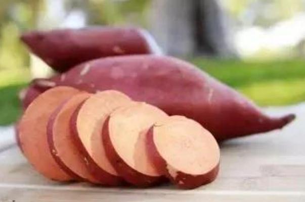 紅薯對胃有好處嗎 紅薯對血糖高的人有影響嗎 紅薯對胃有好處嗎 紅薯對血糖高的人有影響嗎