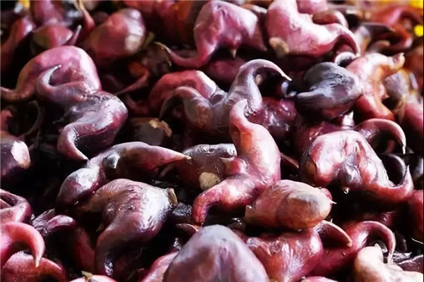 菱角吃多了胃不舒服怎么辦 菱角吃多了會脹氣嗎 菱角吃多了胃不舒服怎么辦 菱角吃多了會脹氣嗎