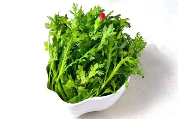 茼蒿可以直接生吃嗎 茼蒿生吃有什么好處 茼蒿可以直接生吃嗎 茼蒿生吃有什么好處