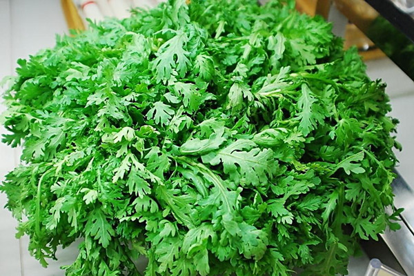 茼蒿的營養(yǎng)成分 茼蒿的食用價值 茼蒿的營養(yǎng)成分 茼蒿的食用價值