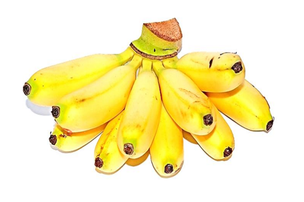 芭蕉的熱量高嗎 芭蕉會(huì)胖嗎 芭蕉的熱量高嗎 芭蕉會(huì)胖嗎