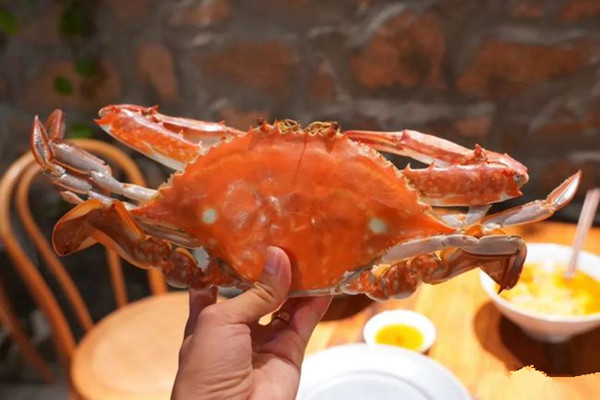 梭子蟹怎么清洗 梭子蟹什么人不宜吃 梭子蟹怎么清洗 梭子蟹什么人不宜吃