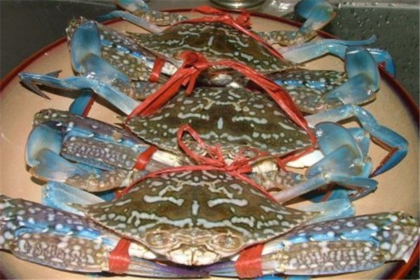 花蟹會(huì)有寄生蟲嗎 花蟹要買公的好還是買母的好 花蟹會(huì)有寄生蟲嗎 花蟹要買公的好還是買母的好