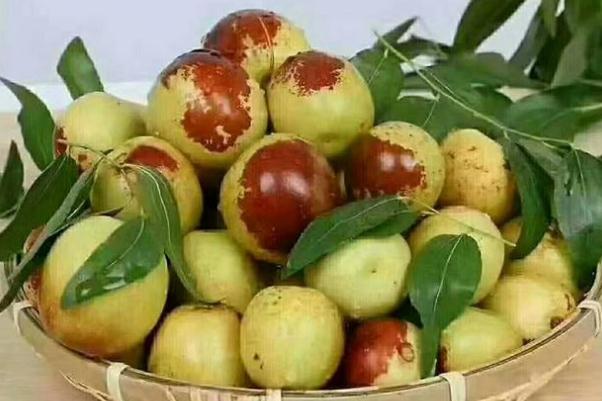 冬棗孕婦能吃不 冬棗孕婦血糖高可以吃嗎 冬棗孕婦能吃不 冬棗孕婦血糖高可以吃嗎