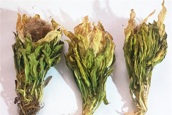 天山雪蓮可以降血糖嗎 天山雪蓮禁忌人群 天山雪蓮可以降血糖嗎 天山雪蓮禁忌人群