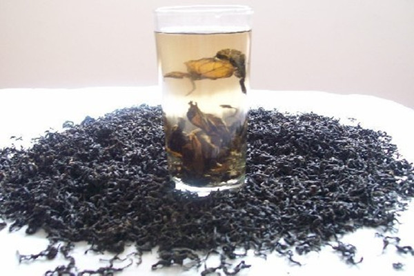 杜仲茶可以降血壓嗎 杜仲茶可以降血脂嗎