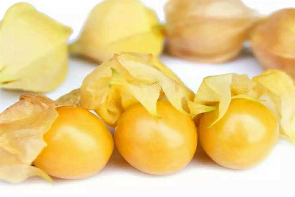 姑娘果一天吃多少 姑娘果吃多了會怎樣 姑娘果一天吃多少 姑娘果吃多了會怎樣