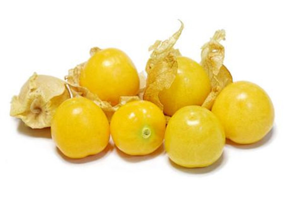 姑娘果可以空腹吃嗎 姑娘果可以泡酒嗎 姑娘果可以空腹吃嗎 姑娘果可以泡酒嗎