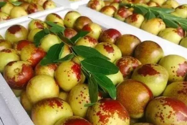 冬棗吃了會發(fā)胖嗎 吃冬棗注意事項(xiàng) 冬棗吃了會發(fā)胖嗎 吃冬棗注意事項(xiàng)