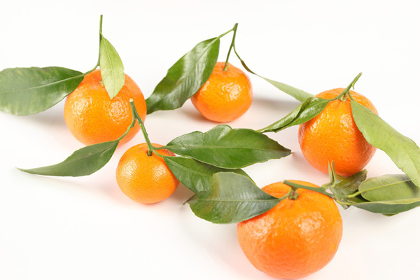 橘子的熱量多少 橘子減肥還是增肥 橘子的熱量多少 橘子減肥還是增肥