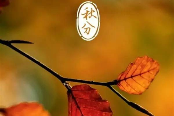 秋分還熱不熱 秋分會(huì)涼快嗎