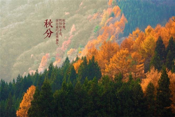 秋分到來(lái)預(yù)示著什么 秋分養(yǎng)生吃什么食物