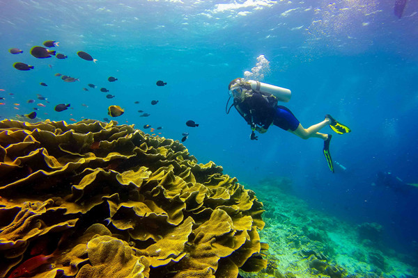 潛水對(duì)身體有什么好處 潛水對(duì)身體的傷害 潛水對(duì)身體有什么好處 潛水對(duì)身體的傷害