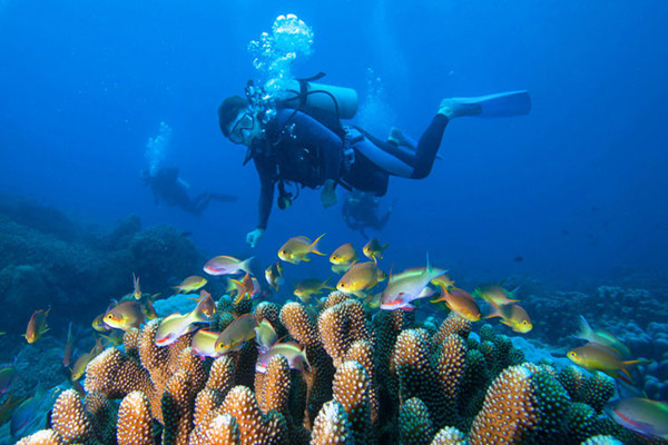 潛水有年齡限制嗎 潛水會(huì)導(dǎo)致中耳炎嗎