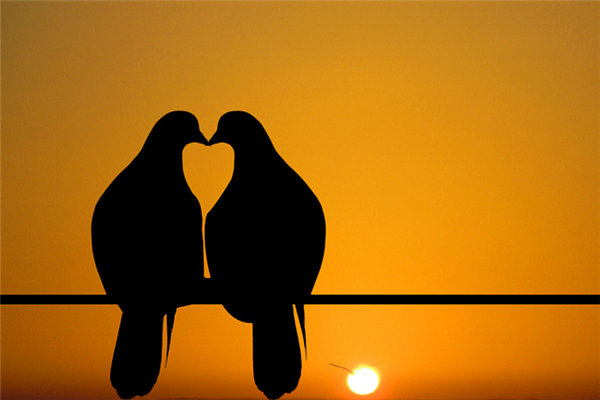 柏拉圖式愛(ài)情是不是同性戀 柏拉圖式愛(ài)情可以接吻嗎 柏拉圖式愛(ài)情是不是同性戀 柏拉圖式愛(ài)情可以接吻嗎