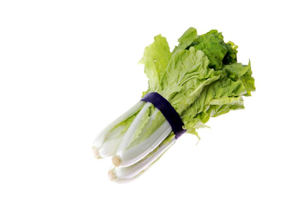 小白菜是什么季節(jié)的蔬菜 小白菜是涼性還是熱性 小白菜是什么季節(jié)的蔬菜 小白菜是涼性還是熱性