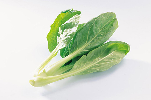小白菜能否生吃 吃小白菜對(duì)身體有什么好處 小白菜能否生吃 吃小白菜對(duì)身體有什么好處
