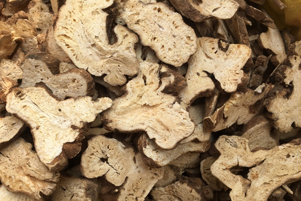 白術(shù)性溫還是性寒 白術(shù)有什么作用和功效 白術(shù)性溫還是性寒 白術(shù)有什么作用和功效