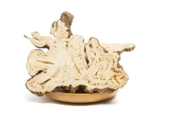 白術(shù)可以治療便秘嗎 白術(shù)可以治療胃炎嗎 白術(shù)可以治療便秘嗎 白術(shù)可以治療胃炎嗎