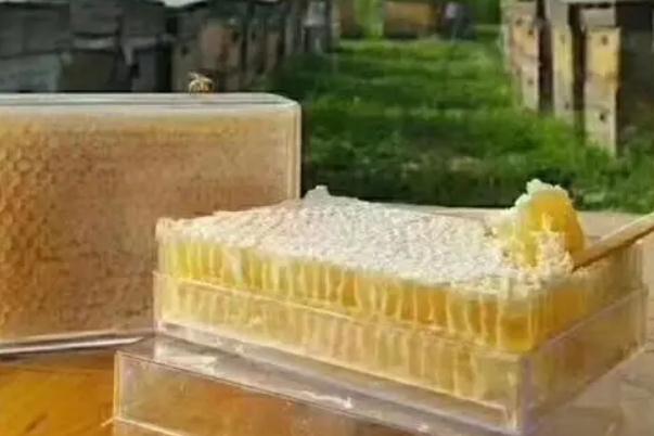 蜂巢蜜會發(fā)胖嗎 蜂巢蜜會結(jié)晶嗎 蜂巢蜜會發(fā)胖嗎 蜂巢蜜會結(jié)晶嗎