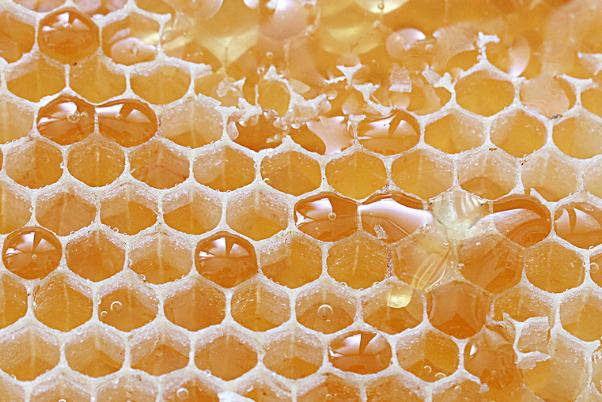 吃蜂巢蜜對(duì)身體有什么好處 女人吃蜂巢蜜有什么好處 吃蜂巢蜜對(duì)身體有什么好處 女人吃蜂巢蜜有什么好處