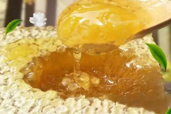 蜂巢蜜會發(fā)胖嗎 蜂巢蜜會結(jié)晶嗎 蜂巢蜜會發(fā)胖嗎 蜂巢蜜會結(jié)晶嗎