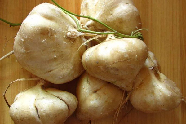 孕婦能不能吃涼薯 孕婦吃涼薯的功效與作用 孕婦能不能吃涼薯 孕婦吃涼薯的功效與作用