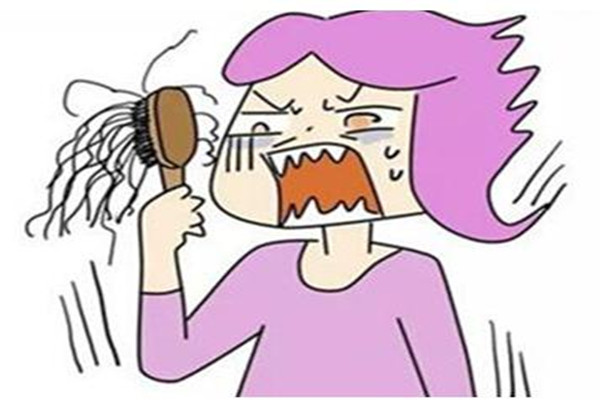 脫發(fā)會恢復嗎 脫發(fā)會一直持續(xù)嗎 脫發(fā)會恢復嗎 脫發(fā)會一直持續(xù)嗎