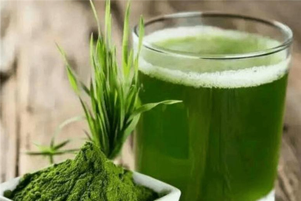 青汁在月經(jīng)期間可以喝嗎 青汁會(huì)影響月經(jīng)不調(diào)嗎 青汁在月經(jīng)期間可以喝嗎 青汁會(huì)影響月經(jīng)不調(diào)嗎