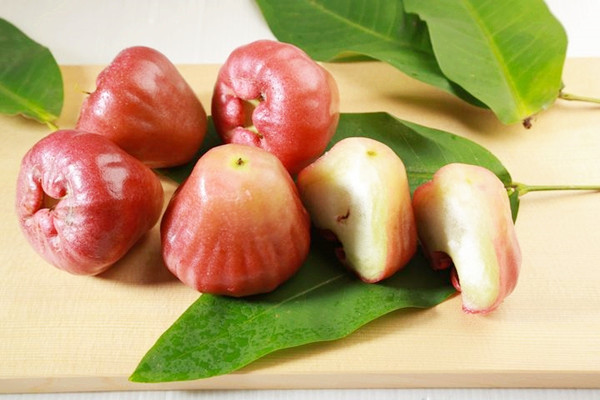 蓮霧會(huì)不會(huì)上火 蓮霧可以去火嗎 蓮霧會(huì)不會(huì)上火 蓮霧可以去火嗎