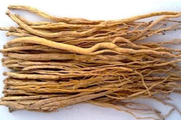 黨參會(huì)升高血糖嗎 黨參會(huì)不會(huì)引起失眠