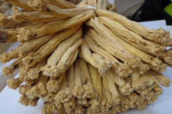 黨參會(huì)不會(huì)上火 黨參會(huì)回奶嗎 黨參會(huì)不會(huì)上火 黨參會(huì)回奶嗎