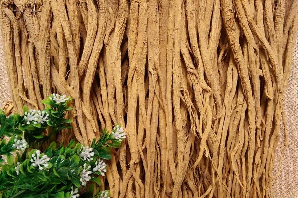 黨參會(huì)不會(huì)上火 黨參會(huì)回奶嗎 黨參會(huì)不會(huì)上火 黨參會(huì)回奶嗎