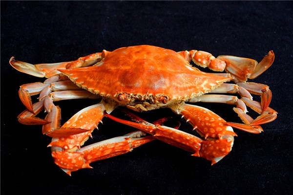 梭子蟹如何新鮮存放 梭子蟹放冷凍還能吃嗎 梭子蟹如何新鮮存放 梭子蟹放冷凍還能吃嗎