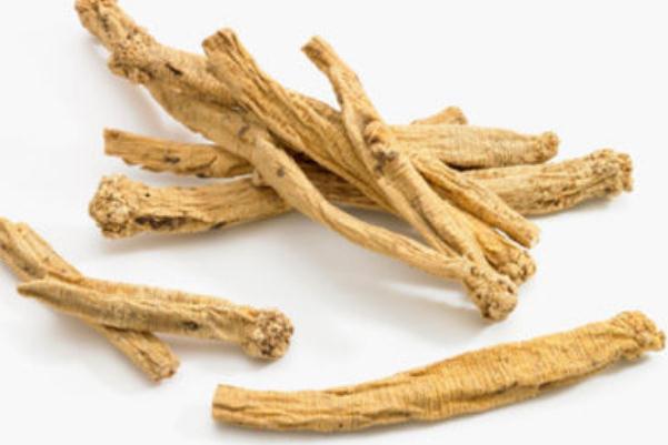 黨參要蒸熟要多少時(shí)間 黨參為什么要蒸熟后用 黨參要蒸熟要多少時(shí)間 黨參為什么要蒸熟后用