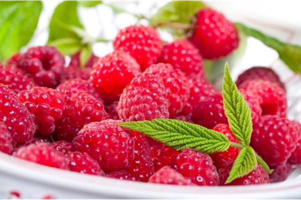 樹(shù)莓是覆盆子嗎 樹(shù)莓是熱性還是涼性 樹(shù)莓是覆盆子嗎 樹(shù)莓是熱性還是涼性