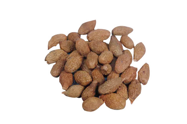 胖大海能泡水喝嗎 胖大海能長期泡水喝嗎 胖大海能泡水喝嗎 胖大海能長期泡水喝嗎