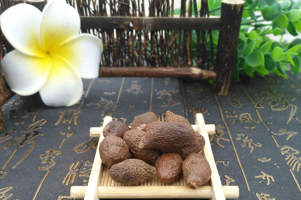 胖大海能治療便秘嗎 胖大海能治療咳嗽嗎 胖大海能治療便秘嗎 胖大海能治療咳嗽嗎