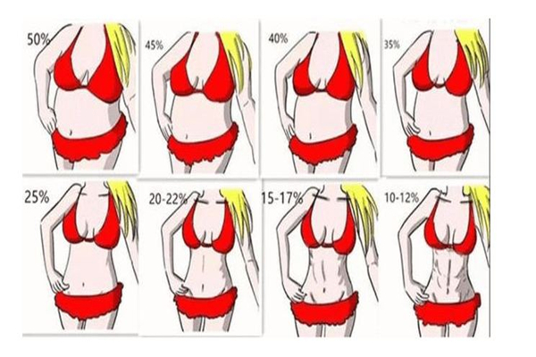 體脂率是脂肪率嗎 體脂率是怎么測(cè)出來的 體脂率是脂肪率嗎 體脂率是怎么測(cè)出來的