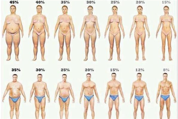 體脂率是脂肪率嗎 體脂率是怎么測(cè)出來的 體脂率是脂肪率嗎 體脂率是怎么測(cè)出來的