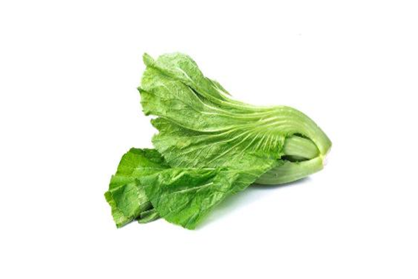 芥菜是什么季節(jié)的菜 芥菜是苦的嗎 芥菜是什么季節(jié)的菜 芥菜是苦的嗎