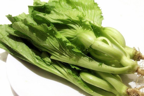 芥菜能治便秘嗎 芥菜對(duì)胃好嗎 芥菜能治便秘嗎 芥菜對(duì)胃好嗎