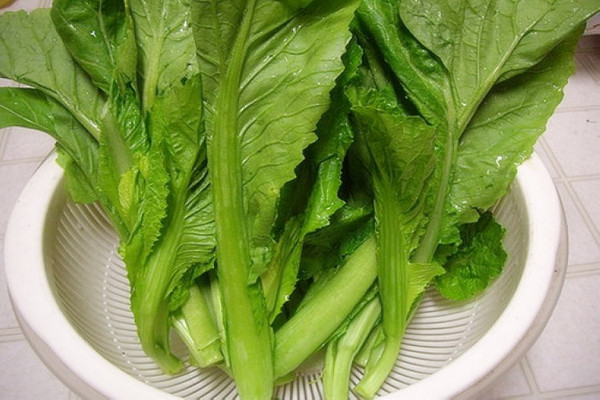 芥菜怎么腌制成酸菜 芥菜怎么炒不苦 芥菜怎么腌制成酸菜 芥菜怎么炒不苦